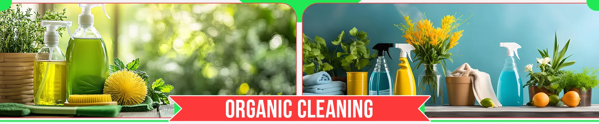 carpet cleaners in Nassau, carpet cleaning in Nassau, carpet cleaning Nassau, carpet cleaners in Nassau,  commercial carpet cleaning, commercial carpet cleaning in v,carpet cleaning in Nassau,  Nassau rug cleaners, rug cleaning services in Nassau, same day carpet cleaning, same day rug cleaning