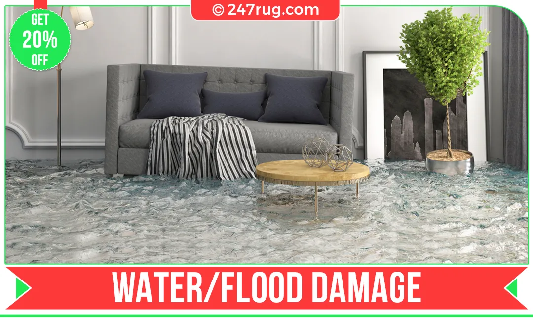 carpet cleaners in Nassau, carpet cleaning in Nassau, carpet cleaning Nassau, carpet cleaners in Nassau,  commercial carpet cleaning, commercial carpet cleaning in v,carpet cleaning in Nassau,  Nassau rug cleaners, rug cleaning services in Nassau, same day carpet cleaning, same day rug cleaning