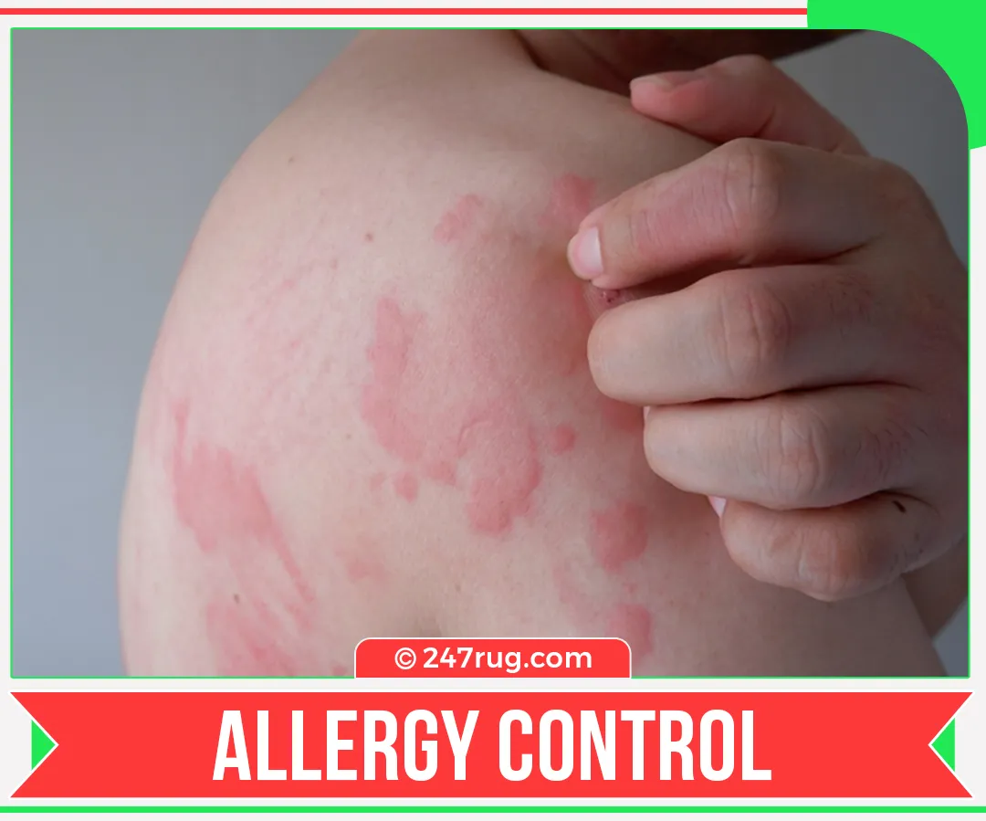 carpet cleaners in Nassau, carpet cleaning in Nassau, carpet cleaning bkln, carpet cleaners in Nassau,  commercial carpet cleaning, commercial carpet cleaning in Nassau,carpet cleaning in Nassau,  Nassau rug cleaners, rug cleaning services in Nassau, same day carpet cleaning, same day rug cleaning