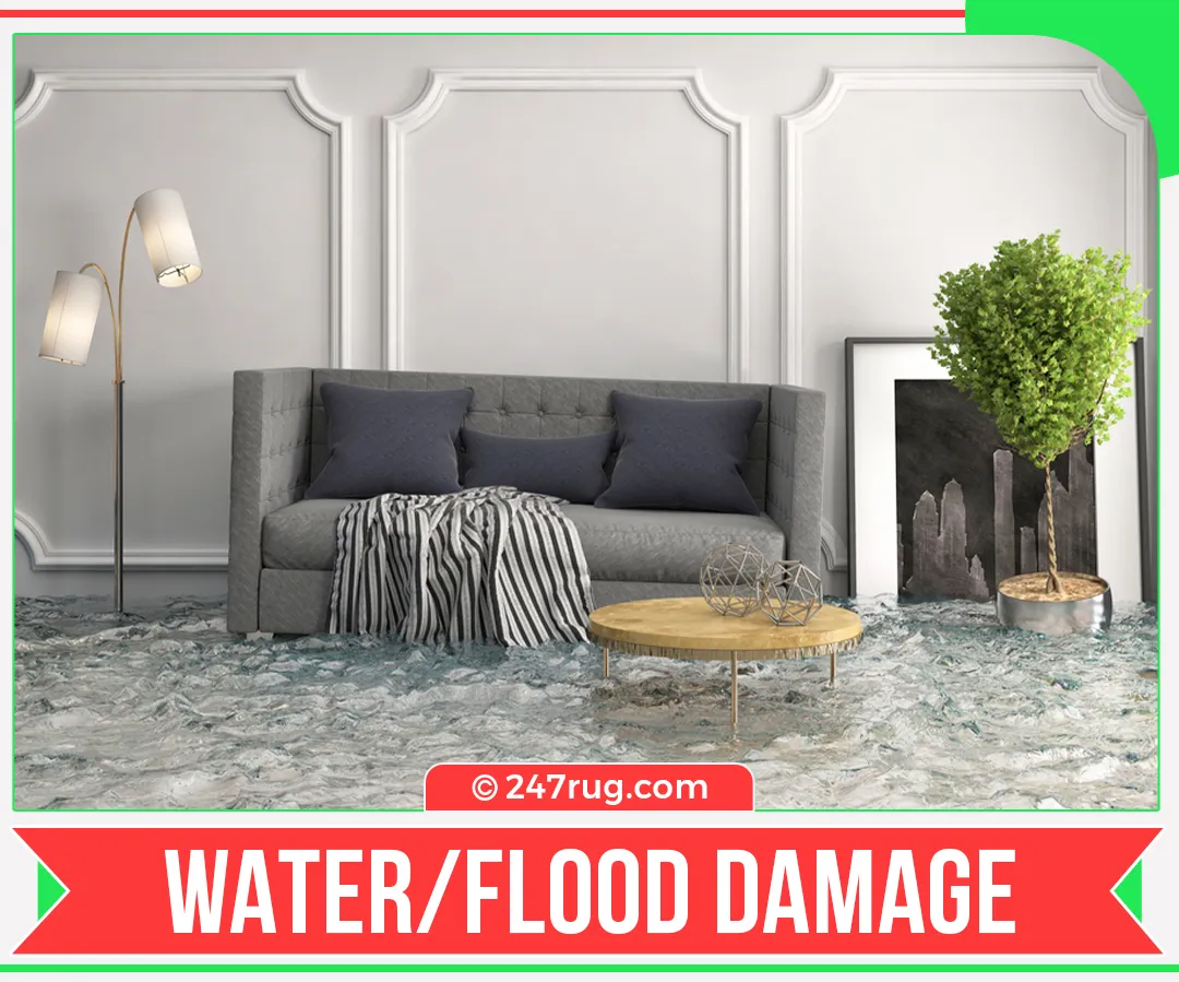 carpet cleaners in Nassau, carpet cleaning in Nassau, carpet cleaning Nassau, carpet cleaners in Nassau,  commercial carpet cleaning, commercial carpet cleaning in v,carpet cleaning in Nassau,  Nassau rug cleaners, rug cleaning services in Nassau, same day carpet cleaning, same day rug cleaning